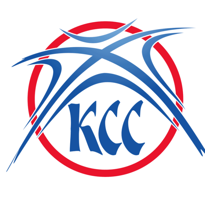 Basketball Academy Vizura Logo